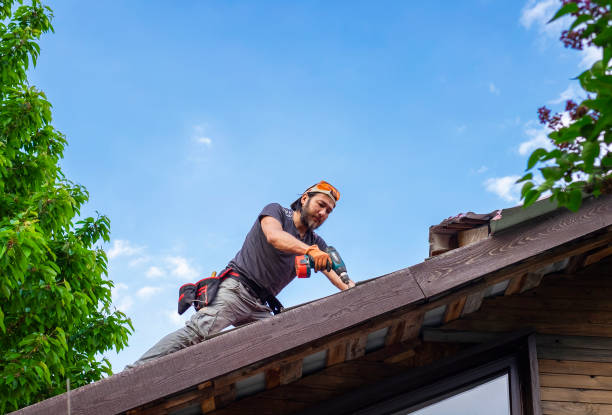 Best Storm Damage Roof Repair  in Minot Af, ND
